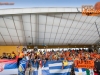 mariborapoel_2013_01-jpg